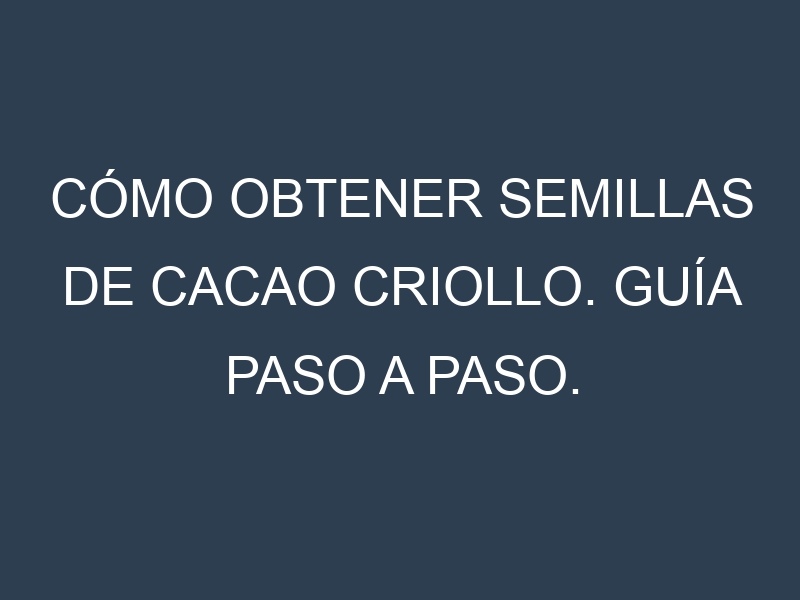 Cómo obtener semillas de Cacao criollo. Guía paso a paso. Técnicas sencillas. Conservación.