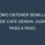 Cómo obtener semillas de Café Geisha. Guía paso a paso. Técnicas sencillas. Conservación.