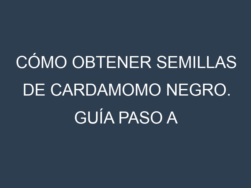 Cómo obtener semillas de Cardamomo negro. Guía paso a paso. Técnicas sencillas. Conservación.