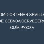 Cómo obtener semillas de Cebada cervecera. Guía paso a paso. Técnicas sencillas. Conservación.