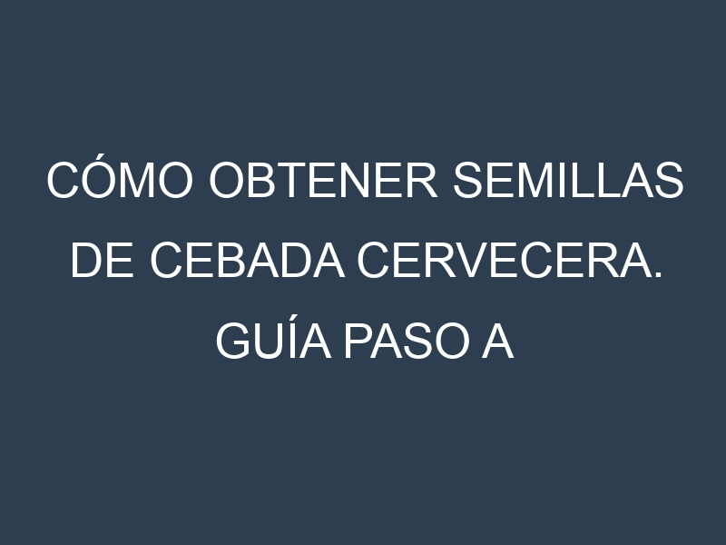 Cómo obtener semillas de Cebada cervecera. Guía paso a paso. Técnicas sencillas. Conservación.