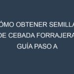 Cómo obtener semillas de Cebada forrajera. Guía paso a paso. Técnicas sencillas. Conservación.