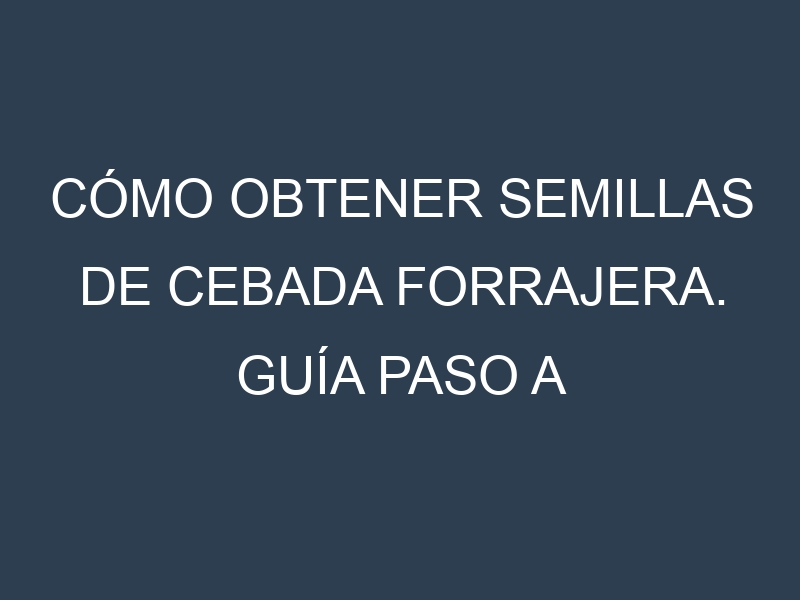 Cómo obtener semillas de Cebada forrajera. Guía paso a paso. Técnicas sencillas. Conservación.