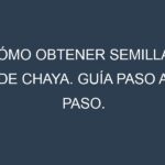 Cómo obtener semillas de Chaya. Guía paso a paso. Técnicas sencillas. Conservación.