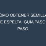 Cómo obtener semillas de Espelta. Guía paso a paso. Técnicas sencillas. Conservación.