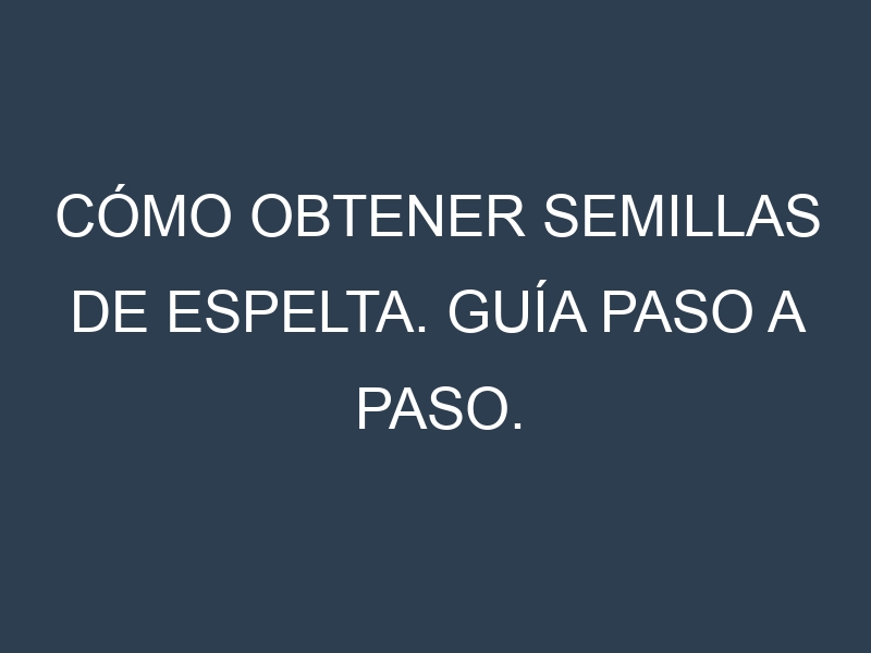 Cómo obtener semillas de Espelta. Guía paso a paso. Técnicas sencillas. Conservación.