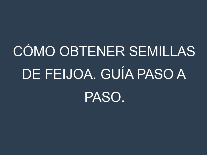 Cómo obtener semillas de Feijoa. Guía paso a paso. Técnicas sencillas. Conservación.