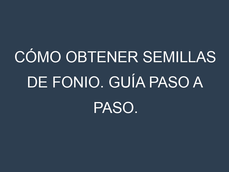 Cómo obtener semillas de Fonio. Guía paso a paso. Técnicas sencillas. Conservación.