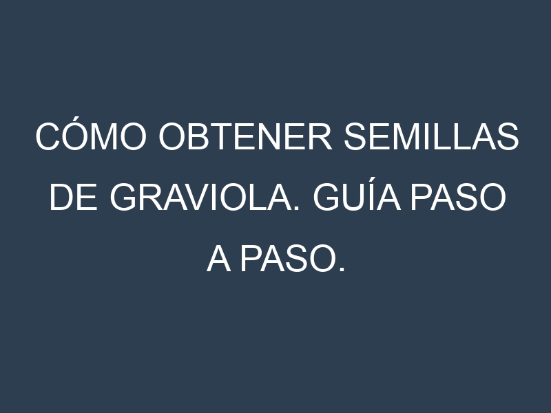 Cómo obtener semillas de Graviola. Guía paso a paso. Técnicas sencillas. Conservación.