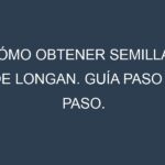 Cómo obtener semillas de Longan. Guía paso a paso. Técnicas sencillas. Conservación.