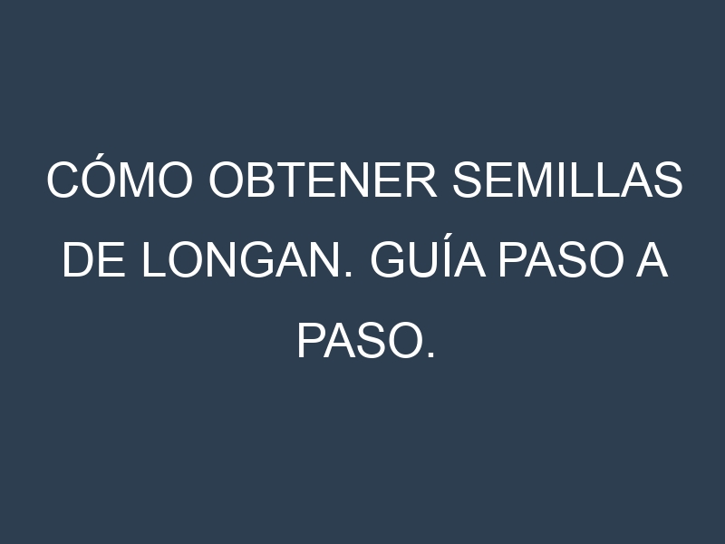 Cómo obtener semillas de Longan. Guía paso a paso. Técnicas sencillas. Conservación.