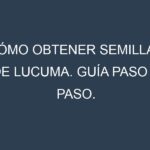 Cómo obtener semillas de Lucuma. Guía paso a paso. Técnicas sencillas. Conservación.