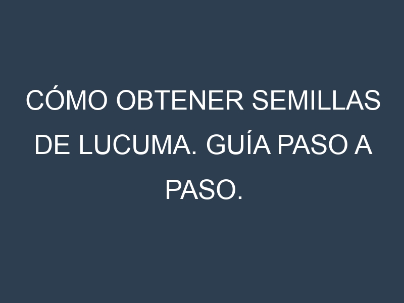 Cómo obtener semillas de Lucuma. Guía paso a paso. Técnicas sencillas. Conservación.