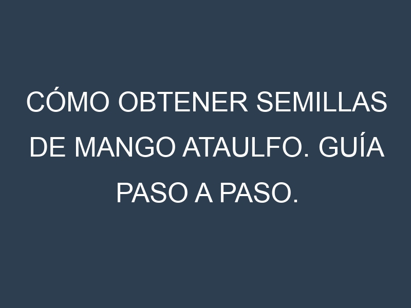 Cómo obtener semillas de Mango Ataulfo. Guía paso a paso. Técnicas sencillas. Conservación.