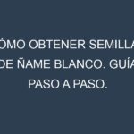 Cómo obtener semillas de Ñame blanco. Guía paso a paso. Técnicas sencillas. Conservación.