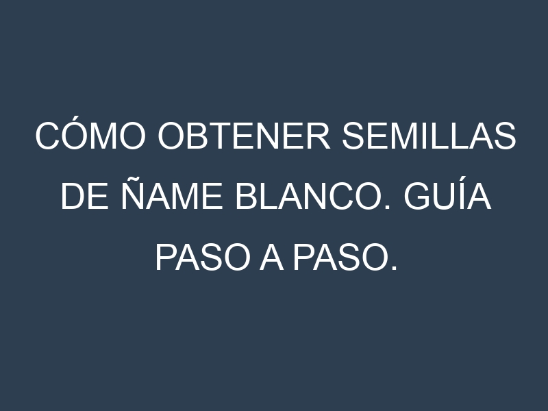 Cómo obtener semillas de Ñame blanco. Guía paso a paso. Técnicas sencillas. Conservación.