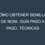 Cómo obtener semillas de Noni. Guía paso a paso. Técnicas sencillas. Conservación.