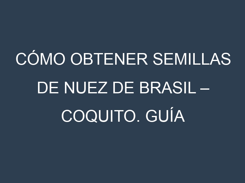 Cómo obtener semillas de Nuez de Brasil – Coquito. Guía paso a paso. Técnicas sencillas. Conservación.