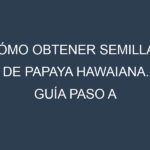 Cómo obtener semillas de Papaya hawaiana. Guía paso a paso. Técnicas sencillas. Conservación.
