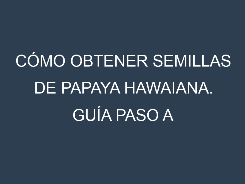 Cómo obtener semillas de Papaya hawaiana. Guía paso a paso. Técnicas sencillas. Conservación.