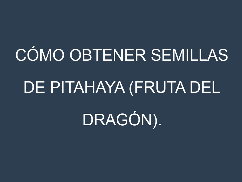 Cómo obtener semillas de Pitahaya (fruta del dragón). Guía paso a paso. Técnicas sencillas. Conservación.