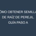 Cómo obtener semillas de Raíz de perejil. Guía paso a paso. Técnicas sencillas. Conservación.