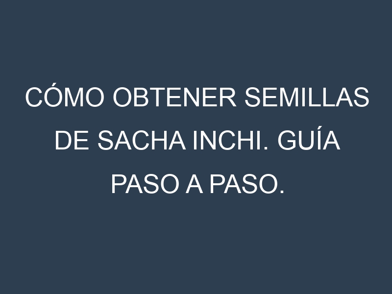 Cómo obtener semillas de Sacha Inchi. Guía paso a paso. Técnicas sencillas. Conservación.