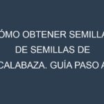 Cómo obtener semillas de Semillas de calabaza. Guía paso a paso. Técnicas sencillas. Conservación.