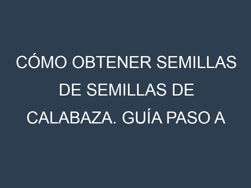 Cómo obtener semillas de Semillas de calabaza. Guía paso a paso. Técnicas sencillas. Conservación.