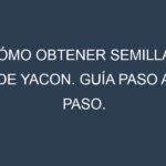 Cómo obtener semillas de Yacon. Guía paso a paso. Técnicas sencillas. Conservación.