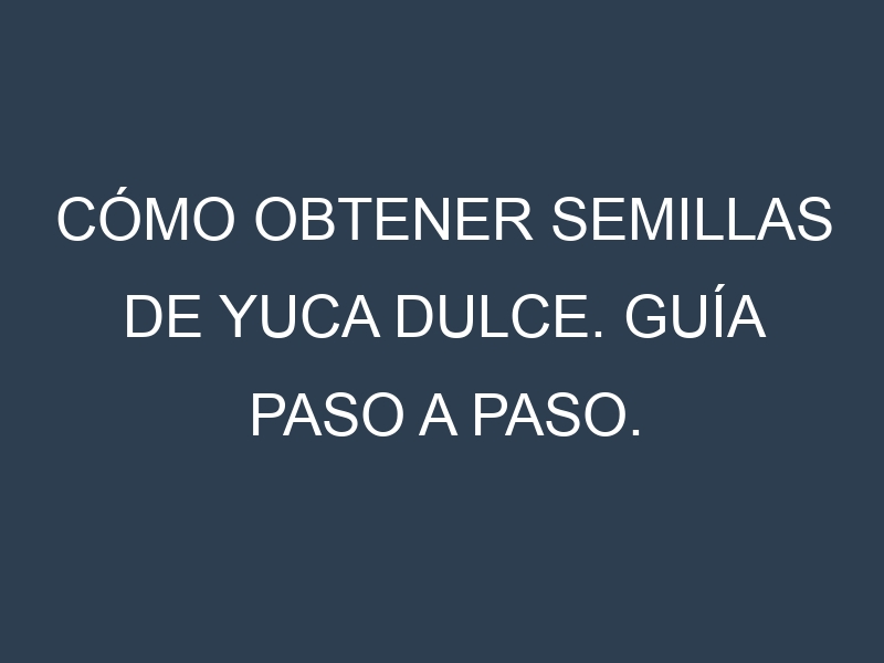 Cómo obtener semillas de Yuca dulce. Guía paso a paso. Técnicas sencillas. Conservación.