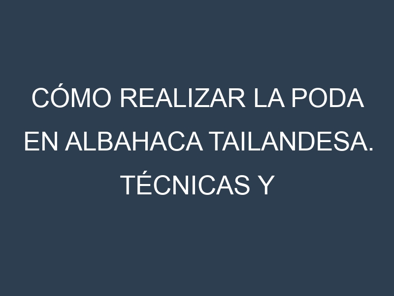 Cómo Realizar la Poda en Albahaca tailandesa. Técnicas y Poda de formación.