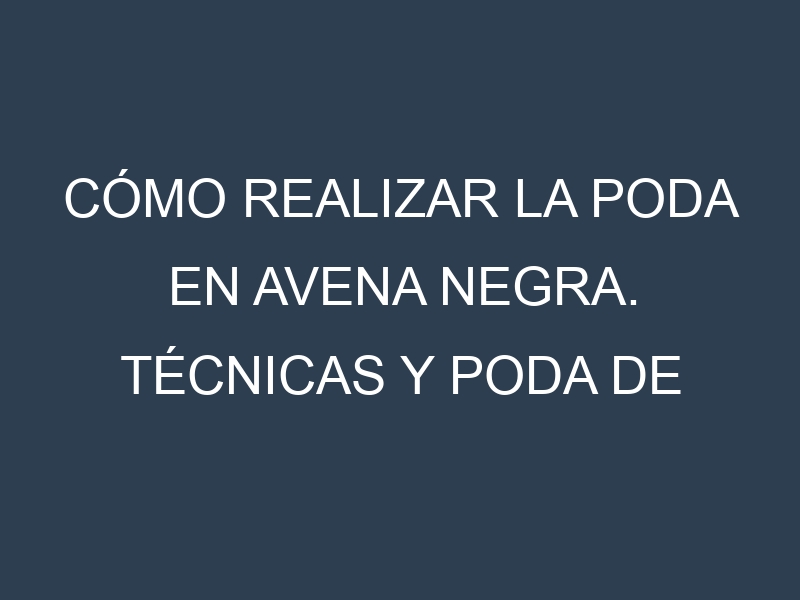 Cómo Realizar la Poda en Avena negra. Técnicas y Poda de formación.