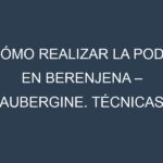 Cómo Realizar la Poda en Berenjena – Aubergine. Técnicas y Poda de formación.