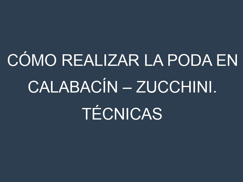 Cómo Realizar la Poda en Calabacín – Zucchini. Técnicas y Poda de formación.