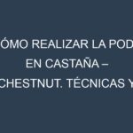 Cómo Realizar la Poda en Castaña – Chestnut. Técnicas y Poda de formación.