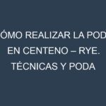 Cómo Realizar la Poda en Centeno – Rye. Técnicas y Poda de formación.