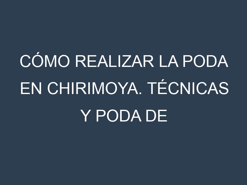 Cómo Realizar la Poda en Chirimoya. Técnicas y Poda de formación.