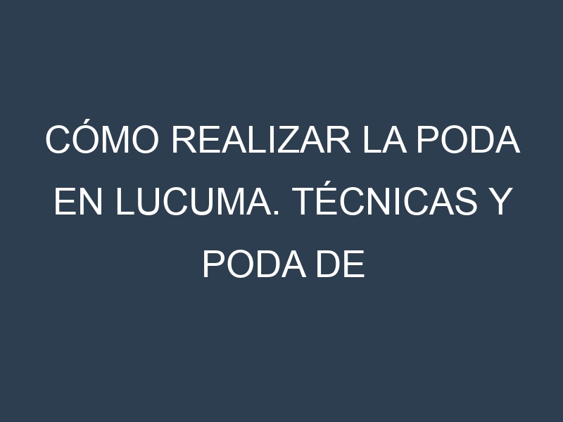 Cómo Realizar la Poda en Lucuma. Técnicas y Poda de formación.