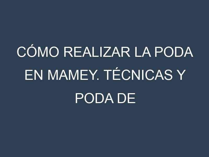 Cómo Realizar la Poda en Mamey. Técnicas y Poda de formación.