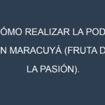 Cómo Realizar la Poda en Maracuyá (fruta de la pasión). Técnicas y Poda de formación.