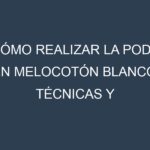 Cómo Realizar la Poda en Melocotón blanco. Técnicas y Poda de formación.