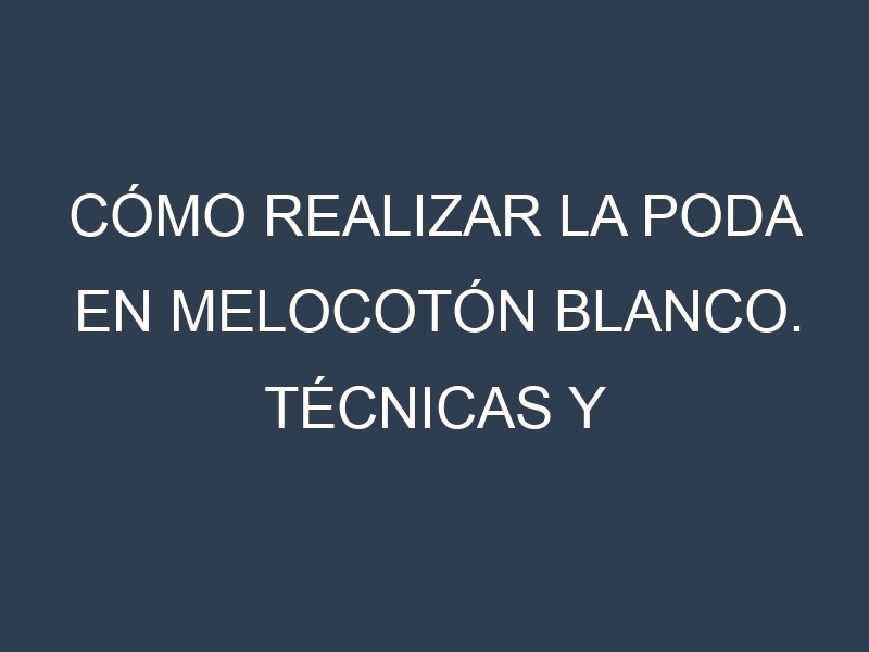 Cómo Realizar la Poda en Melocotón blanco. Técnicas y Poda de formación.