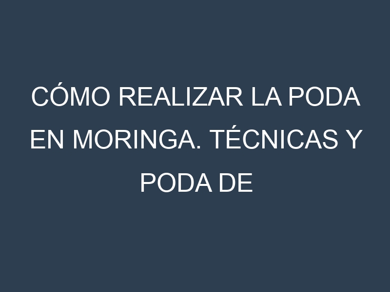 Cómo Realizar la Poda en Moringa. Técnicas y Poda de formación.