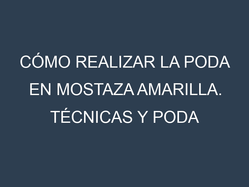 Cómo Realizar la Poda en Mostaza amarilla. Técnicas y Poda de formación.