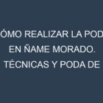 Cómo Realizar la Poda en Ñame morado. Técnicas y Poda de formación.