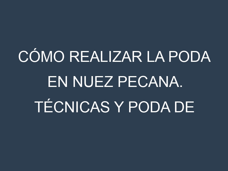 Cómo Realizar la Poda en Nuez pecana. Técnicas y Poda de formación.