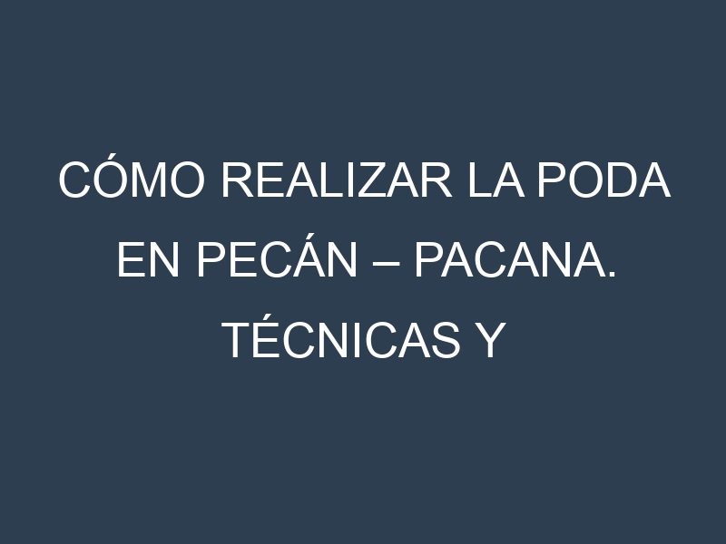Cómo Realizar la Poda en Pecán – Pacana. Técnicas y Poda de formación.