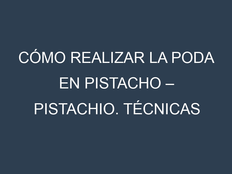 Cómo Realizar la Poda en Pistacho – Pistachio. Técnicas y Poda de formación.