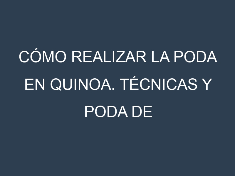 Cómo Realizar la Poda en Quinoa. Técnicas y Poda de formación.